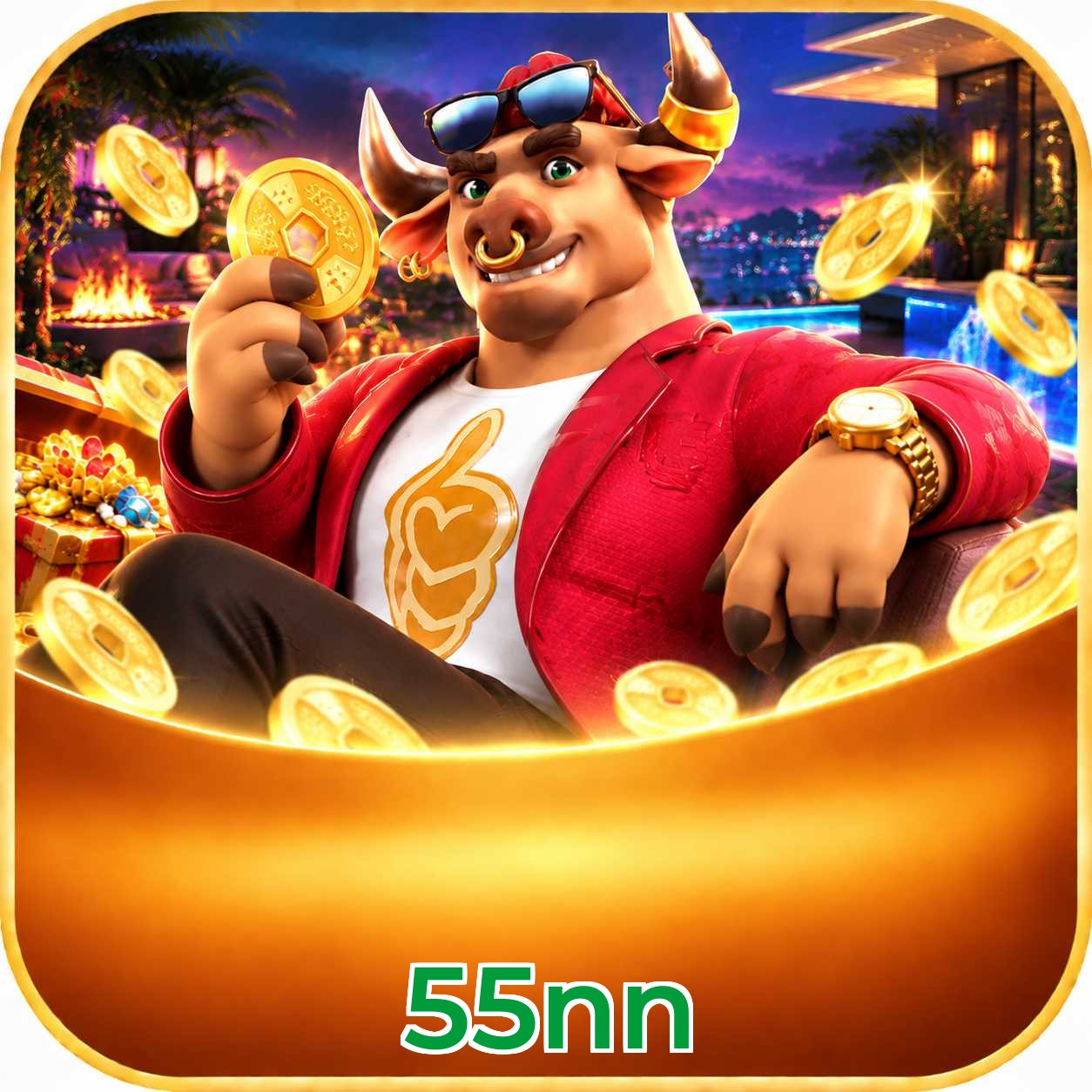 55nn System Requirements